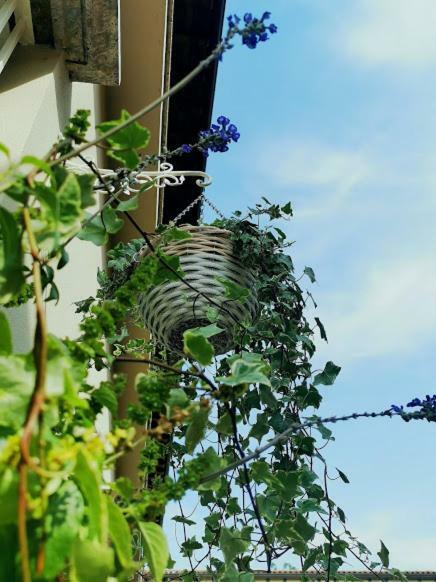 Apartament Il Cortile Clusane Zewnętrze zdjęcie