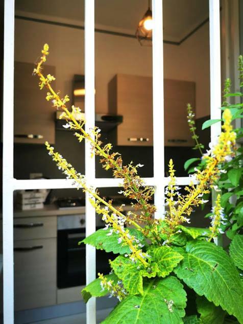 Apartament Il Cortile Clusane Zewnętrze zdjęcie